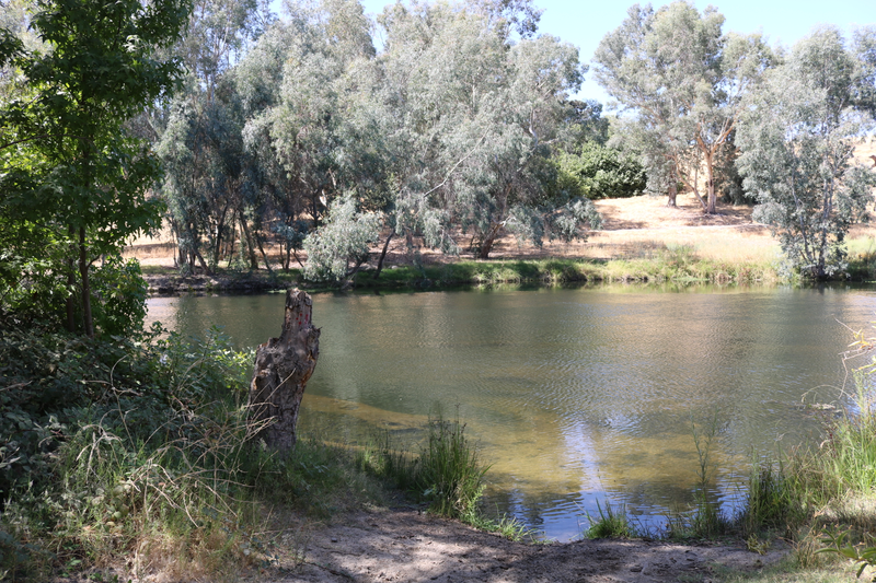 Illustration for article titled Lost Lake Park Photodump.